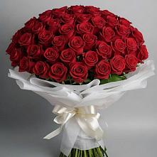 Букет 101 Красная роза Блэк Мэджик в Камбилеевском