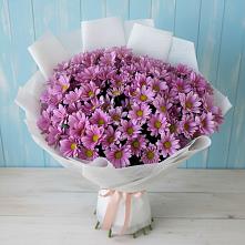 Букет цветов из:  Хризантемы в Камбилеевском