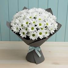 Букет цветов из:  Хризантемы в Камбилеевском