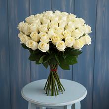 Букет 51 Белая роза Эдлесс Лав #REPLACE_PRED# Камбилеевском