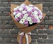 Букет цветов из:  Хризантемы #REPLACE_PRED# Камбилеевском