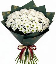 Букет цветов из:  Хризантемы #REPLACE_PRED# Камбилеевском