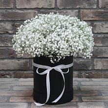 Цветочная композиция из Гипсофила в шляпной коробке #REPLACE_PRED# Камбилеевском