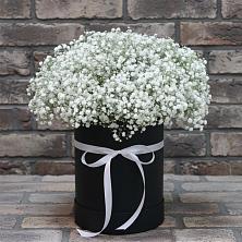 Цветочная композиция из Гипсофила в шляпной коробке в Камбилеевском