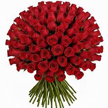 Букет Красные розы Чери Лав в Камбилеевском
