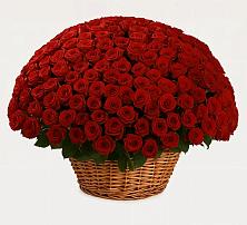 Премиум букет из: Розы #REPLACE_PRED# Камбилеевском