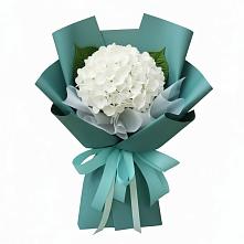 Букет цветов из:  Гортензия в Камбилеевском